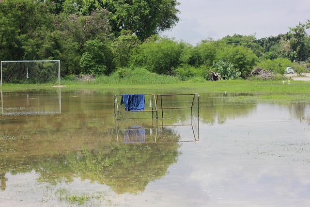 他的球技 他的球技