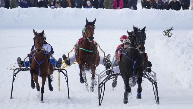 库里复出23+6，勇士击败鹈鹕！赛后迎来2喜2忧，库明加+波杰弊端有点大！.
