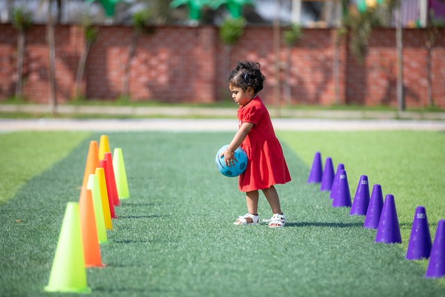 沙特联赛的 沙特联赛的