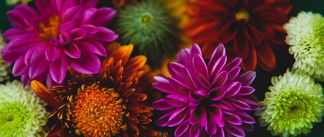 索洛的工作 索洛的工作