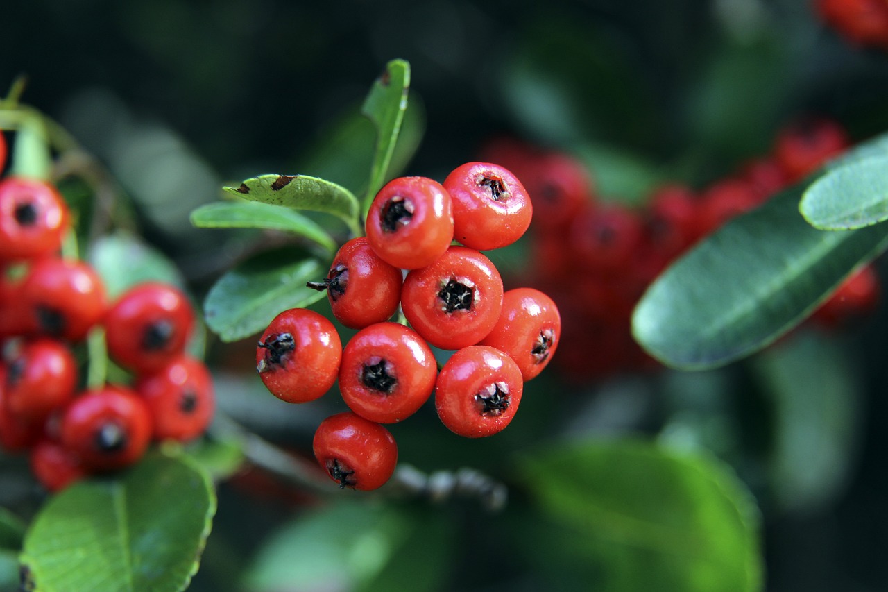 功也为年轻 功也为年轻